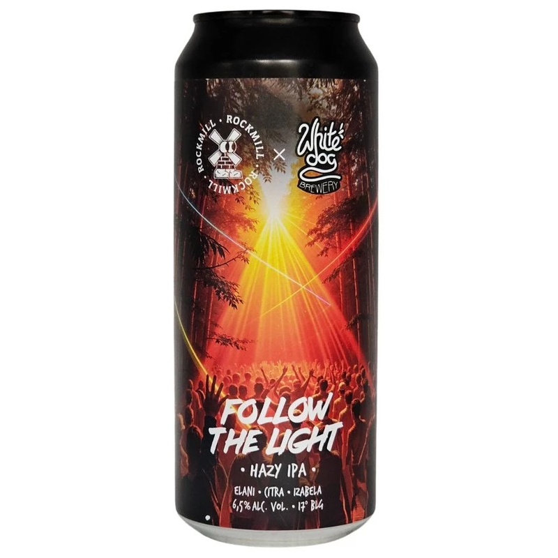 PIWO KRAFTOWE FOLLOW THE LIGHT 500ML