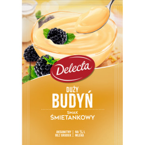 DELECTA BUDYN SMIETANKOWY 64G